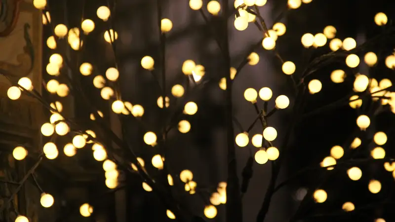 Шымкентских лихачей оштрафовали за новогоднее настроение