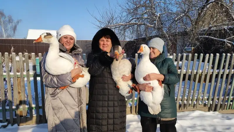 Новый год в Абайской области, Семей, многонациональный новый год, лаборатория дружбы народов, фото - Новости Zakon.kz от 25.12.2023 12:08