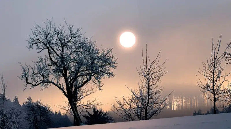 Астрономы предупредили: совсем скоро произойдет зимнее солнцестояние, фото - Новости Zakon.kz от 22.12.2023 06:54