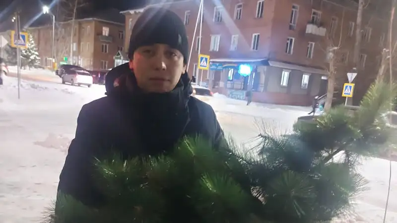 Новогоднюю елку украли из магазина в Усть-Каменогорске