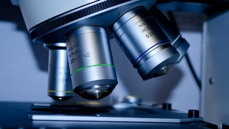 Вибрирующую капсулу для борьбы с ожирением создали в США