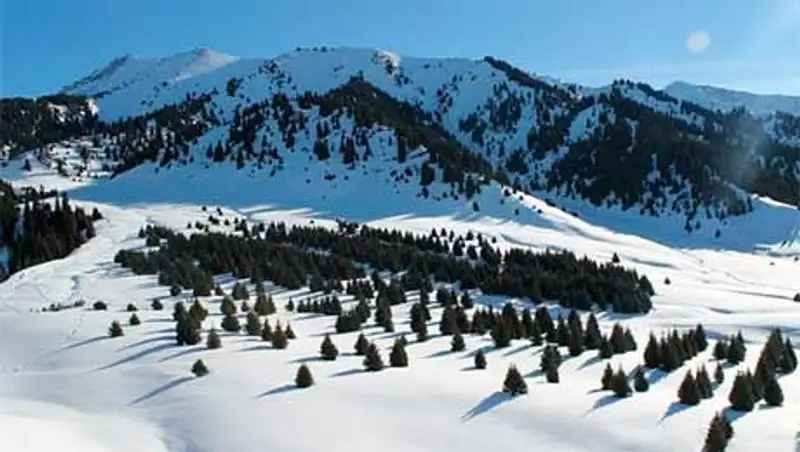 Экологи: курорт «Кок-Жайлау» не навредит экосистеме Нацпарка