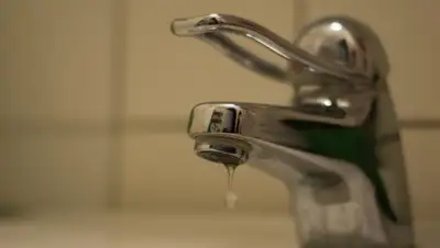 pxhere.com, фото - Новости Zakon.kz от 15.11.2019 11:50