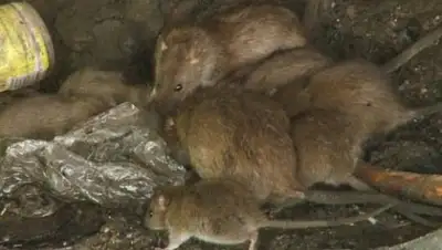 Zakon.kz, фото - Новости Zakon.kz от 15.11.2016 20:22