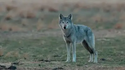 Zakon.kz, фото - Новости Zakon.kz от 16.06.2017 12:33