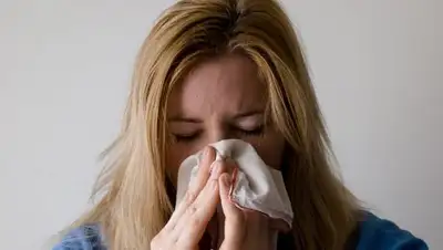 pixabay, фото - Новости Zakon.kz от 18.02.2019 07:21