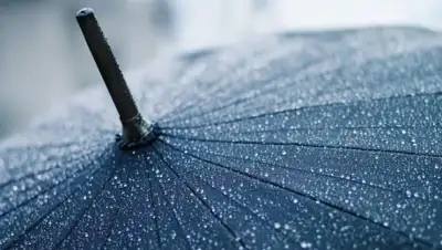 Zakon.kz, фото - Новости Zakon.kz от 29.04.2016 12:00