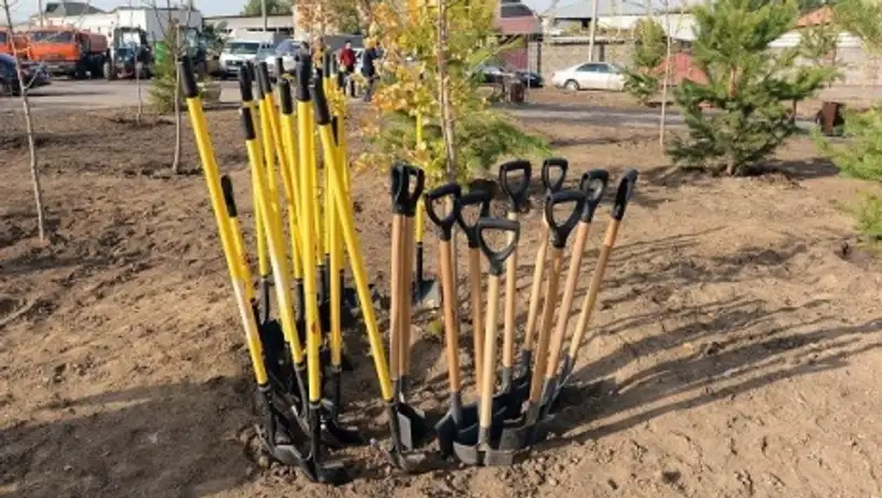 В Алматы начался сезон осенних посадок 