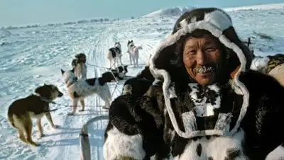 Pikabu, фото - Новости Zakon.kz от 26.05.2014 23:18