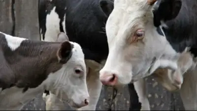 Zakon.kz, фото - Новости Zakon.kz от 04.06.2015 22:26