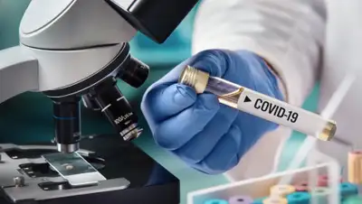 Pixabay, фото - Новости Zakon.kz от 12.04.2020 18:23