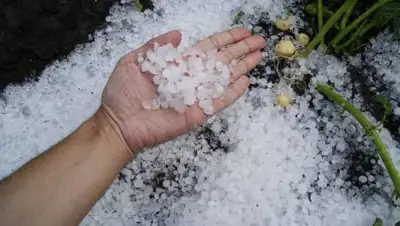 Pixabay, фото - Новости Zakon.kz от 14.08.2021 15:39