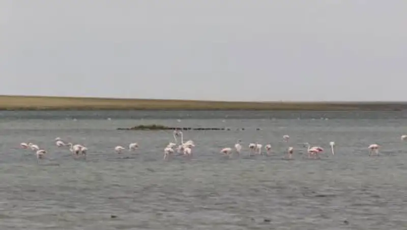 Соцпроект для детей с особыми потребностями реализуют в Акмолинской области