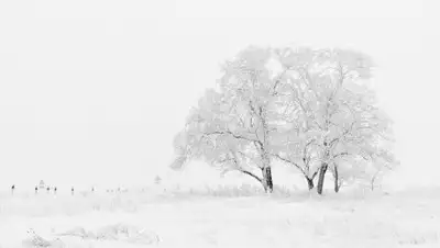 pixabay, фото - Новости Zakon.kz от 15.02.2019 06:33