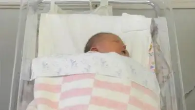 Zakon.kz, фото - Новости Zakon.kz от 02.07.2016 18:13