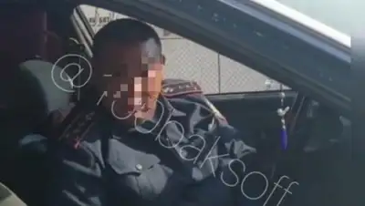 Пресс-служба Департамента полиции Туркестанской области, фото - Новости Zakon.kz от 18.03.2019 17:43