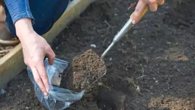 all.biz, фото - Новости Zakon.kz от 01.07.2019 10:02