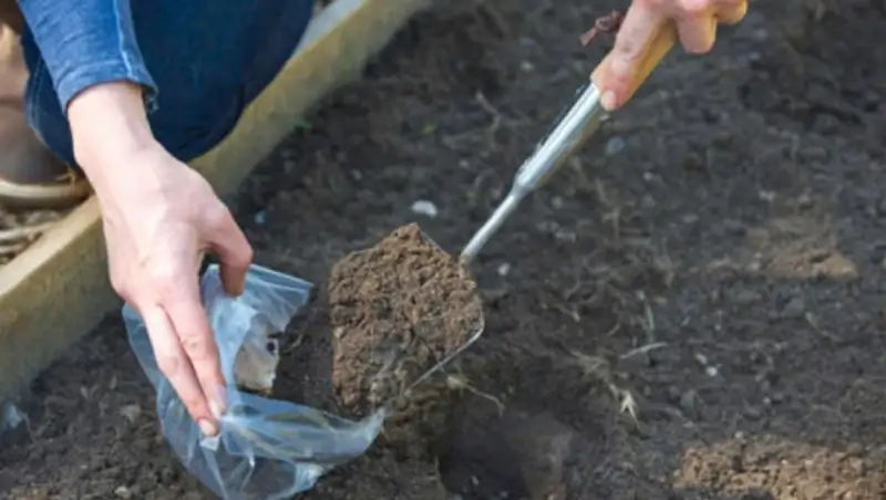 Превышений загрязняющих веществ в Арыси не обнаружено - Казгидромет
