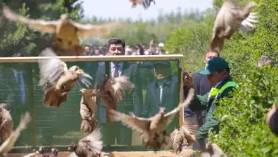 Zakon.kz, фото - Новости Zakon.kz от 03.07.2017 20:56