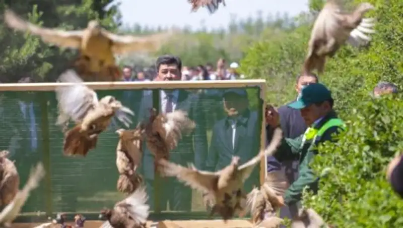 В лесопосадке возле Астаны Нурсултан Назарбаев выпустил косуль и птиц