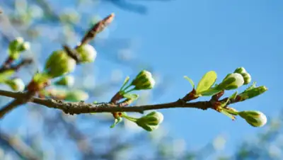 mail.kz, фото - Новости Zakon.kz от 26.03.2020 06:11