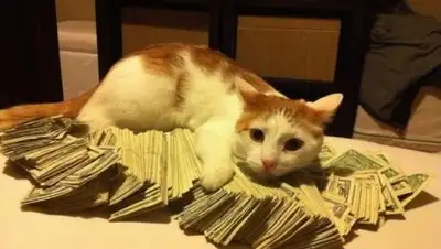 Zakon.kz, фото - Новости Zakon.kz от 23.08.2017 21:49