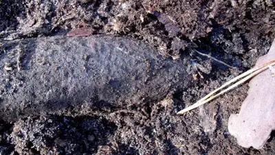 tOrange.biz, фото - Новости Zakon.kz от 01.05.2019 00:53