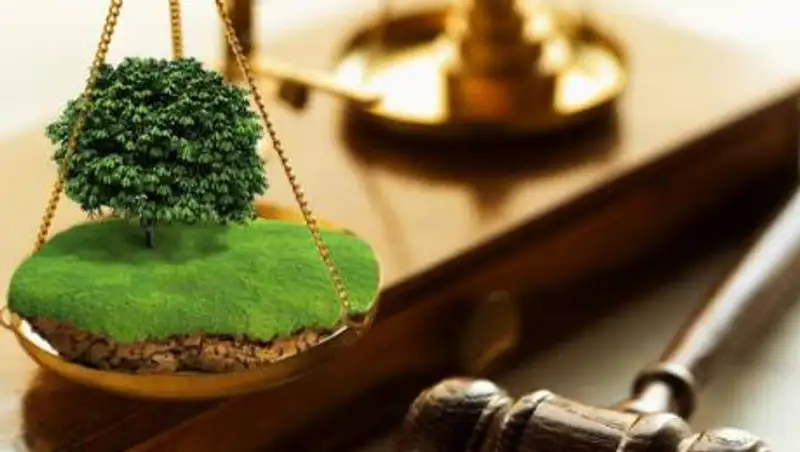 Купить или арендовать земельный участок стало  возможным на портале egov.kz