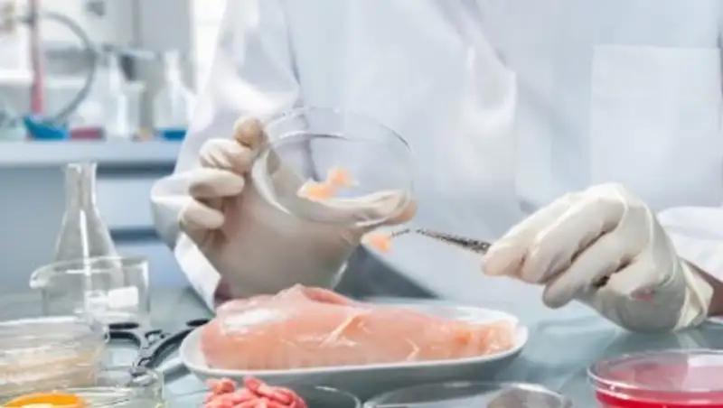 В магазинах Актобе торговали продуктами с кишечной палочкой