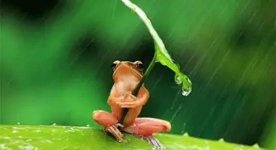 Zakon.kz, фото - Новости Zakon.kz от 20.03.2014 12:26