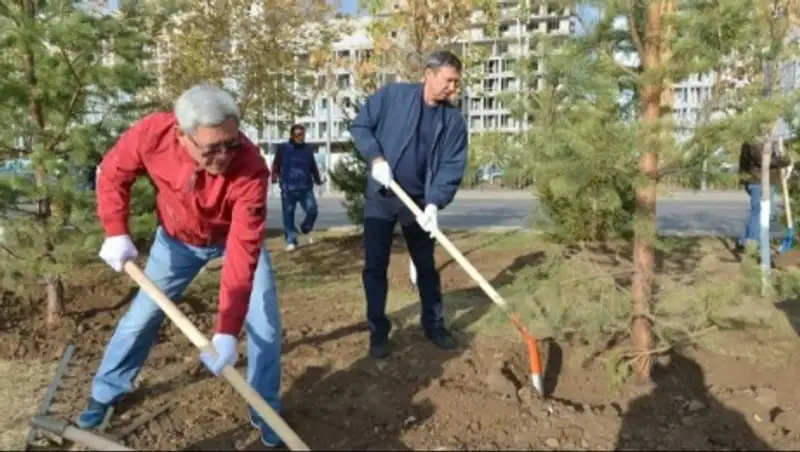 Более 150 елей высадили сенаторы в Астане