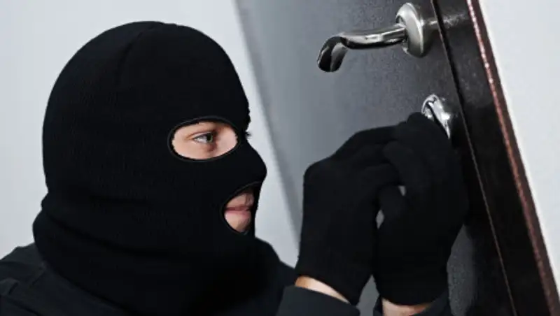 Группа квартирных воров-гастролеров обезврежена в Алматинской области