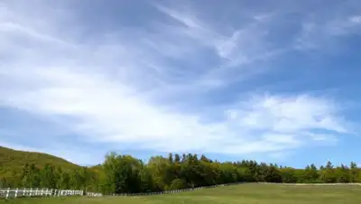 pixnio.com, фото - Новости Zakon.kz от 19.07.2019 11:22