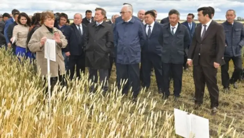 В СКО дан старт уборочной кампании