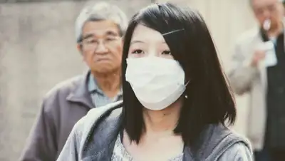 Pixabay, фото - Новости Zakon.kz от 26.01.2020 16:24