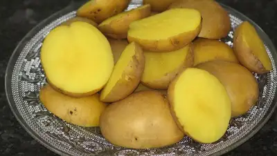 овощ, фото - Новости Zakon.kz от 31.07.2022 11:17