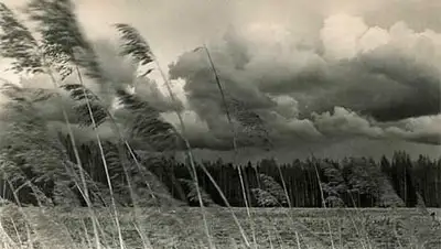 Zakon.kz, фото - Новости Zakon.kz от 19.03.2014 17:54