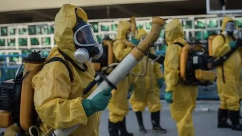 "Важные улики" обнаружили эксперты ВОЗ в ходе расследования по COVID-19 в Ухане