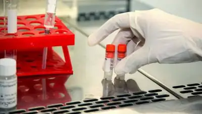 yk-news.kz, фото - Новости Zakon.kz от 20.12.2020 15:20