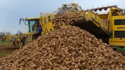 kursk-izvestia.ru, фото - Новости Zakon.kz от 01.02.2020 00:24