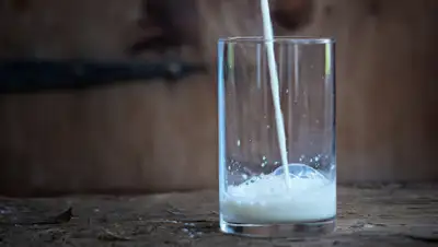 pxhere.com, фото - Новости Zakon.kz от 23.12.2019 23:51