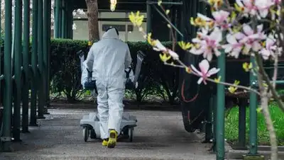 РБК, фото - Новости Zakon.kz от 11.10.2020 09:46