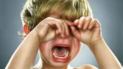 Zakon.kz, фото - Новости Zakon.kz от 15.10.2015 17:23