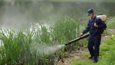 из открытых источников, фото - Новости Zakon.kz от 19.04.2018 18:26