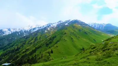 ainews.kz, фото - Новости Zakon.kz от 01.06.2020 17:10