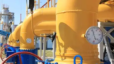 Zakon.kz, фото - Новости Zakon.kz от 10.04.2017 16:21