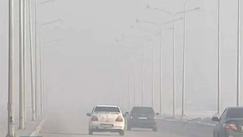 Житель Астаны предложил способ защиты людей от смога