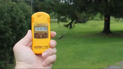 pixabay.com, фото - Новости Zakon.kz от 20.08.2019 14:18