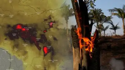 express.co.uk, фото - Новости Zakon.kz от 23.08.2019 07:23