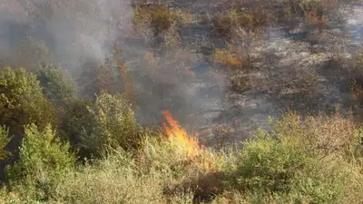 Крупный степной пожар потушили в Улытауской области, фото - Новости Zakon.kz от 31.07.2023 09:46